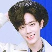 việt anh