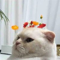 Nhân vật phụ