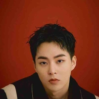 Kim Minseok - Xiumin