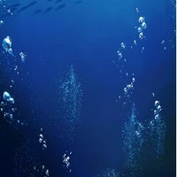 Nhân vật phụ
