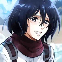 Mikasa
