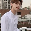 Chu Thiên Nam