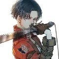 levi