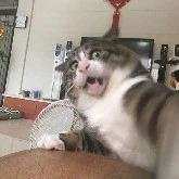 @Tổ_Hợp_Nhân_Vật