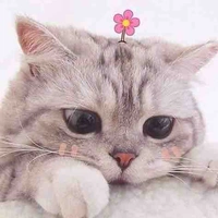 Hải Nam Lê