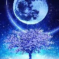 Nhân vật tổng hợp
