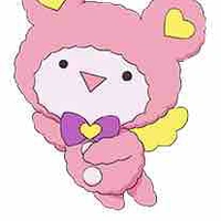 Kuma quản lý solami smile