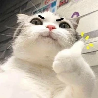 Mon siu cấp đáng iu :33
