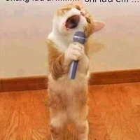 tác giả nghêm túc🙃