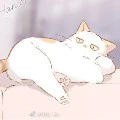Bổn Hệ thống_Kat