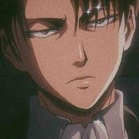 Levi