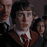 Nelive LongBottom