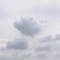 ông /bà nano