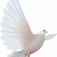 Mei (Kasugai của Hana)