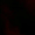 NVP
