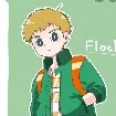 flock
