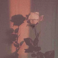 Admin dễ thương><