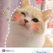 tác giả.com.vn