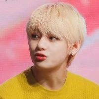 Kim Tae-hyung (V)