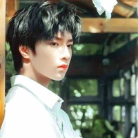 Lưu Diệu Văn 
