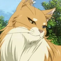 Torako