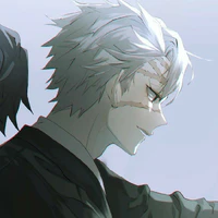senemi