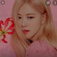 PARK CHAEYOUNG ( MAMA JK )