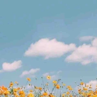 Min❤️-tác giả