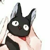 tác giả mê nhìu thứ