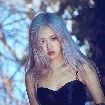 Rosé