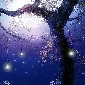 aibiếtmìnhlàaiđâu"))