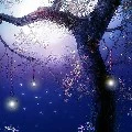 aibiếtmìnhlàaiđâu"))