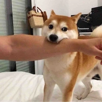 Tác giả