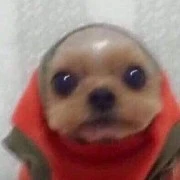 Hìn đây