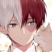 todoroki