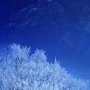 Nhân vật tổng hợp