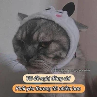 Đại Boss.
