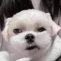 Lương thị tác giả