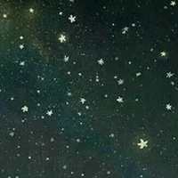 tôi là cái gì đó !