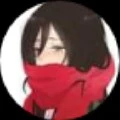 mikasa(no ngáo)