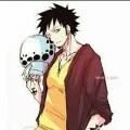 trafalgar D water Law