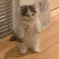 Nhân vật tổng hợp