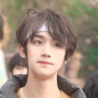 Đinh Trình Hâm