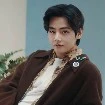 Taehyung (V)