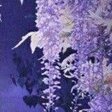 mẹ Ôn khách hànhl