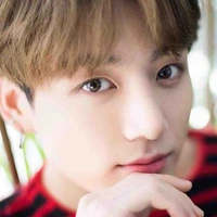 Điền Chính Quốc