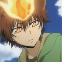 Sawada Tsunayoshi