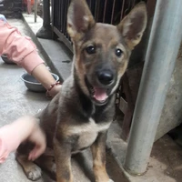 chống lưng tác giả UvU