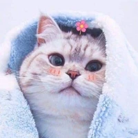 Tác giả xênh đẹppp