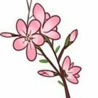 Quần chúng Nữ/Nam (tổng hợp)